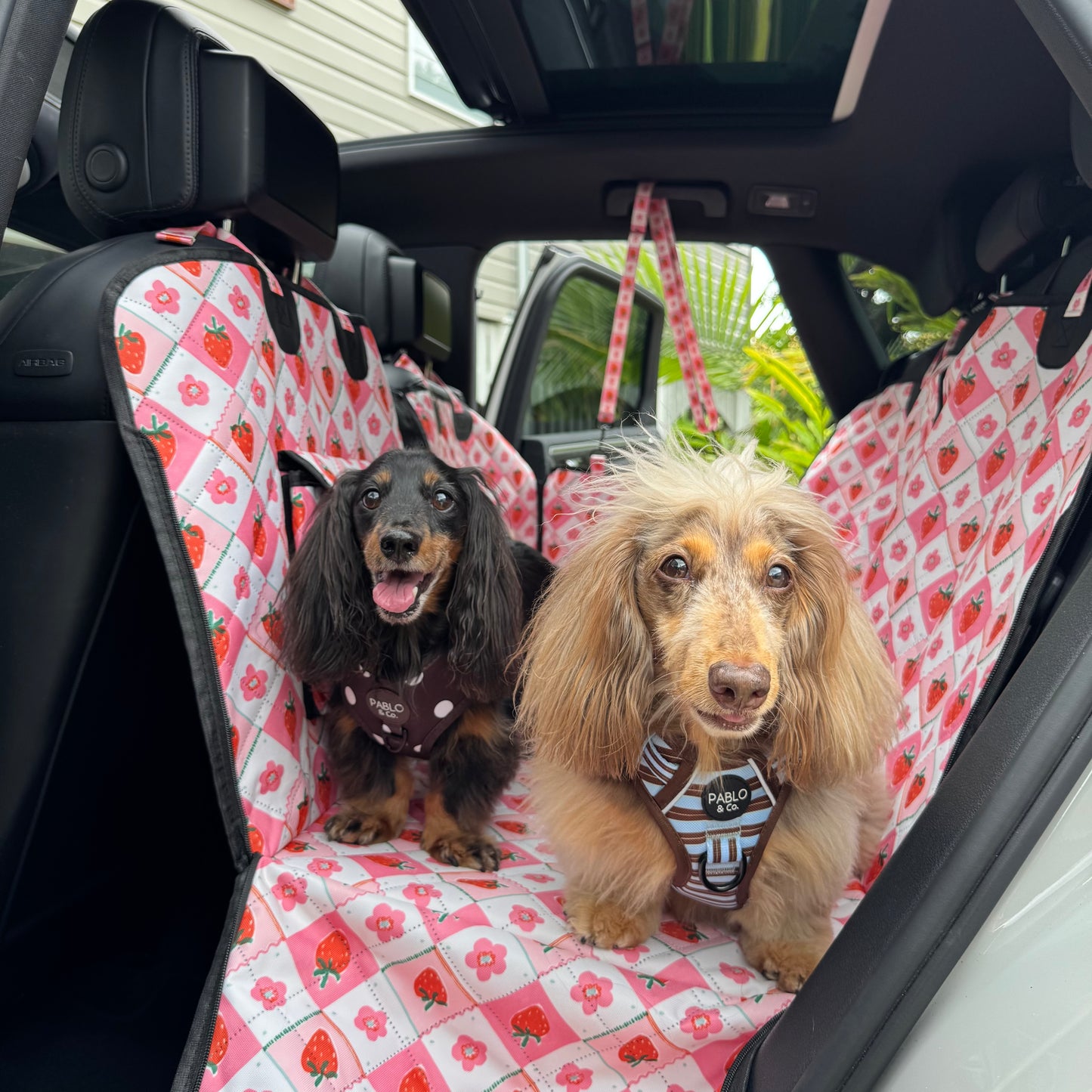 Strawberry Patch: Deluxe Hard Base Hammock Car Seat Cover