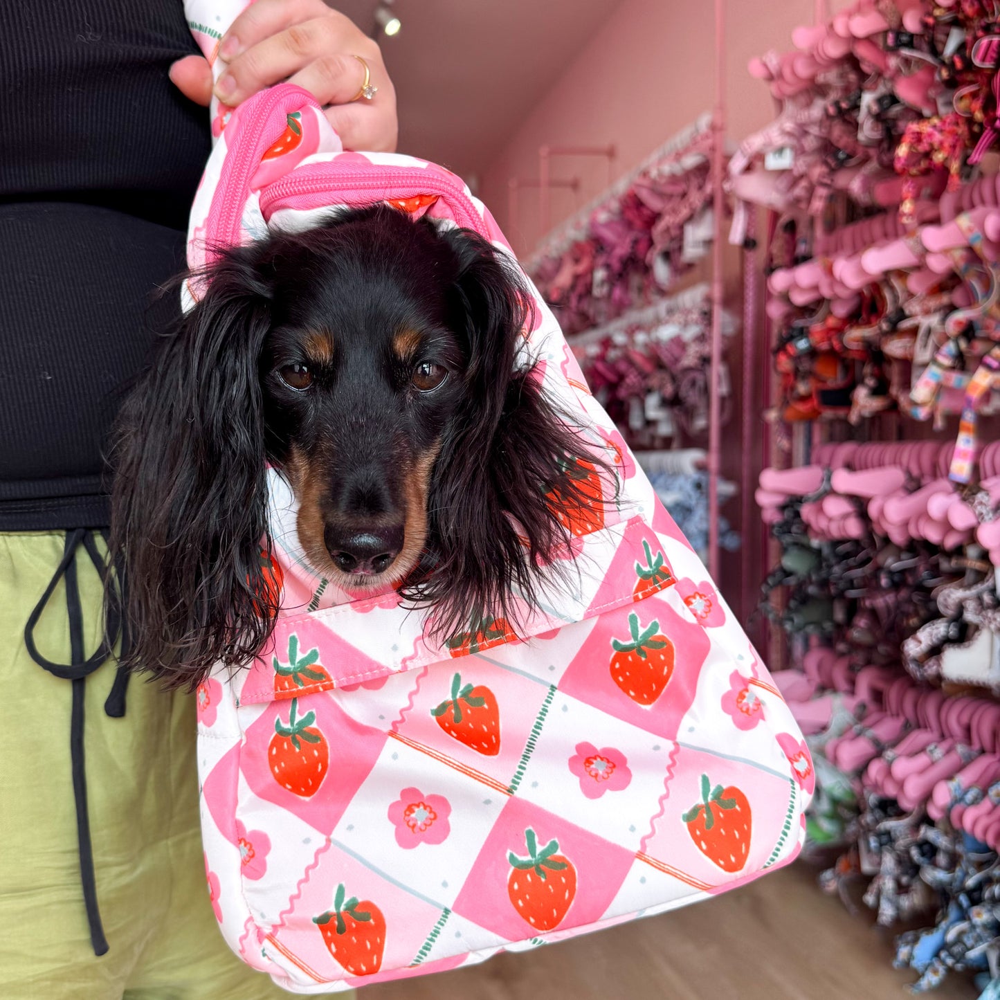 Strawberry Patch: Travel Bag