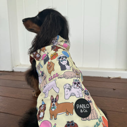 Party Dawgs / Pretzels: Raincoat