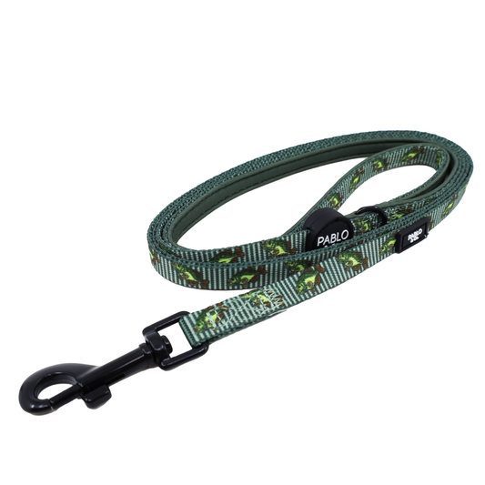 Gone Fishing: Cat Leash