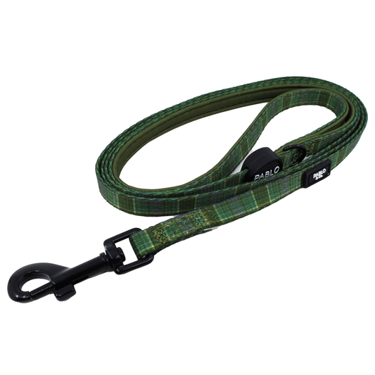 Green Plaid: Cat Leash