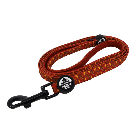 Harry Potter - Gryffindor: Cat Leash