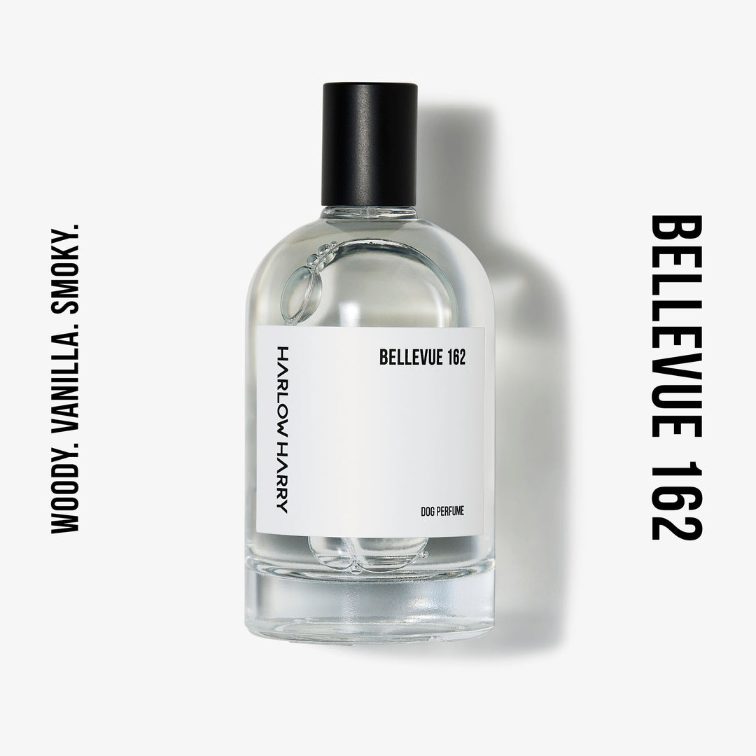 Harlow Harry: Dog Perfume | Bellevue 162
