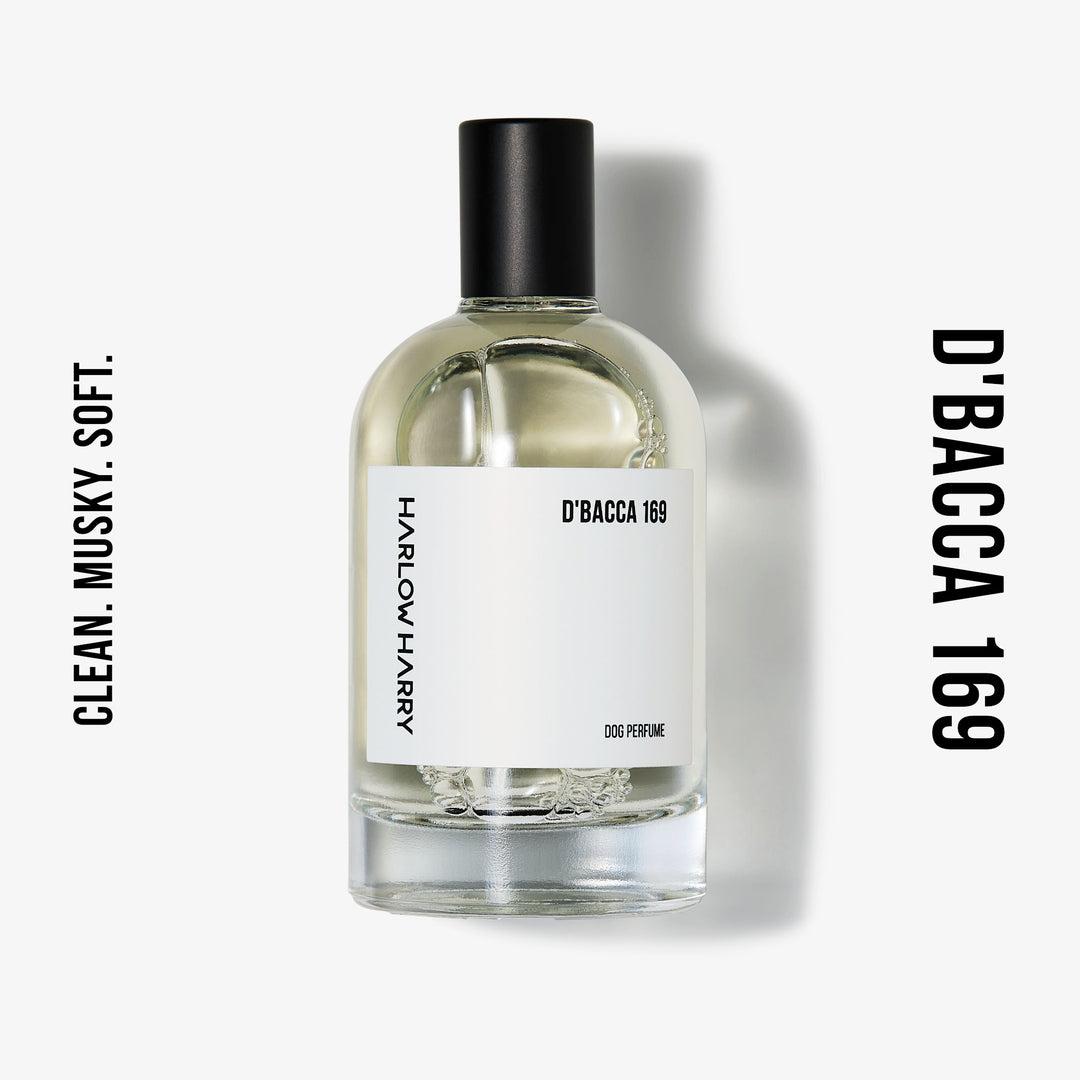 Harlow Harry: Dog Perfume | D'bacca 169