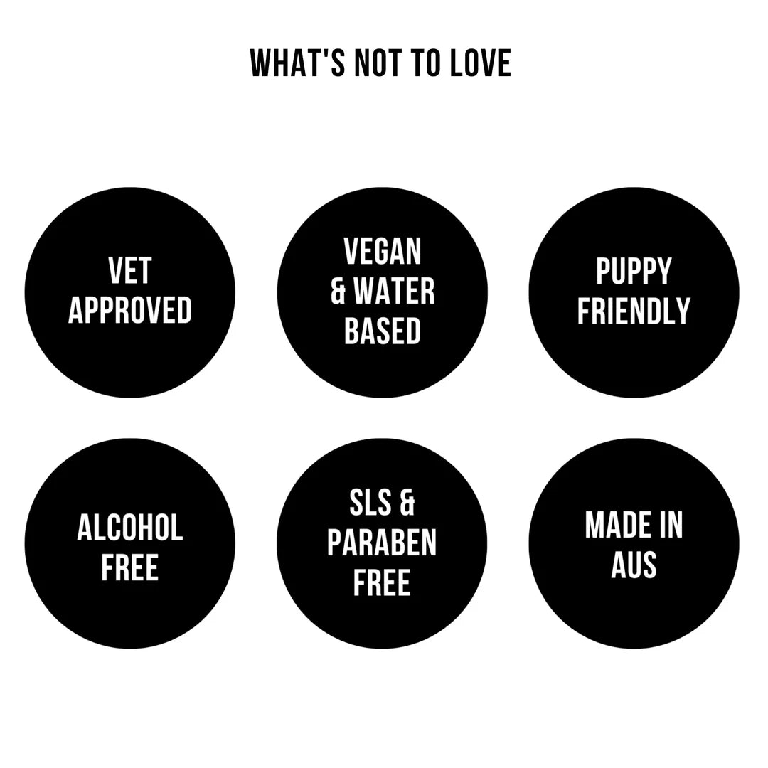 Harlow Harry: Dog Perfume | Solera 145