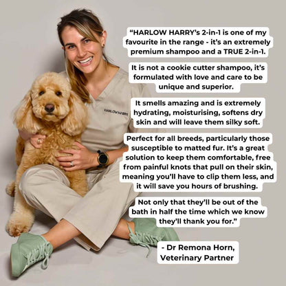 Harlow Harry: 2-in-1 Conditioning Dog Shampoo | Solera 145