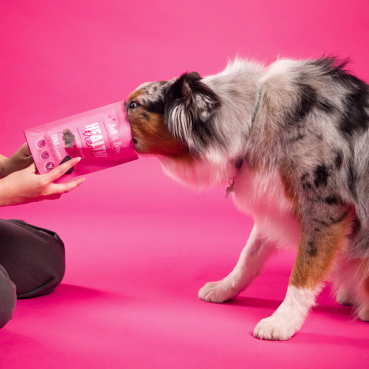 Healthy Treats: Tuna & Seaweed for skin, coat and nails