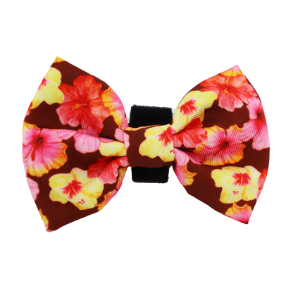 Hibiscus: Bow Tie