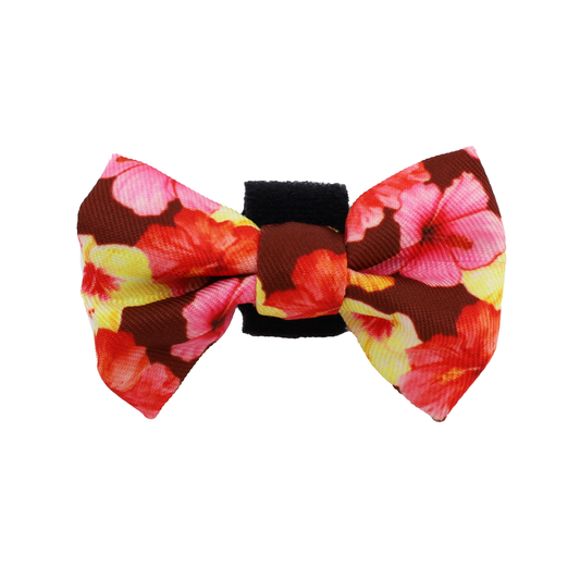 Hibiscus: Cat Bow Tie