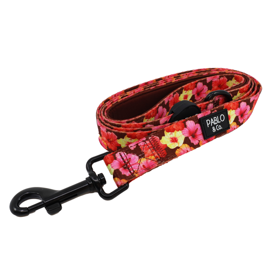 Hibiscus: Dog Leash