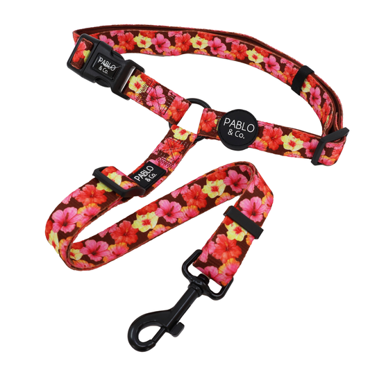 Hibiscus: Headrest Car Restraint