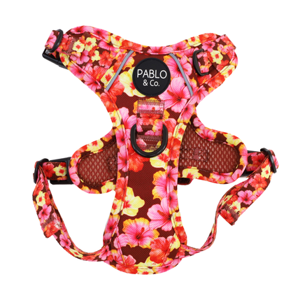 Hibiscus: No Pull Adventure Harness