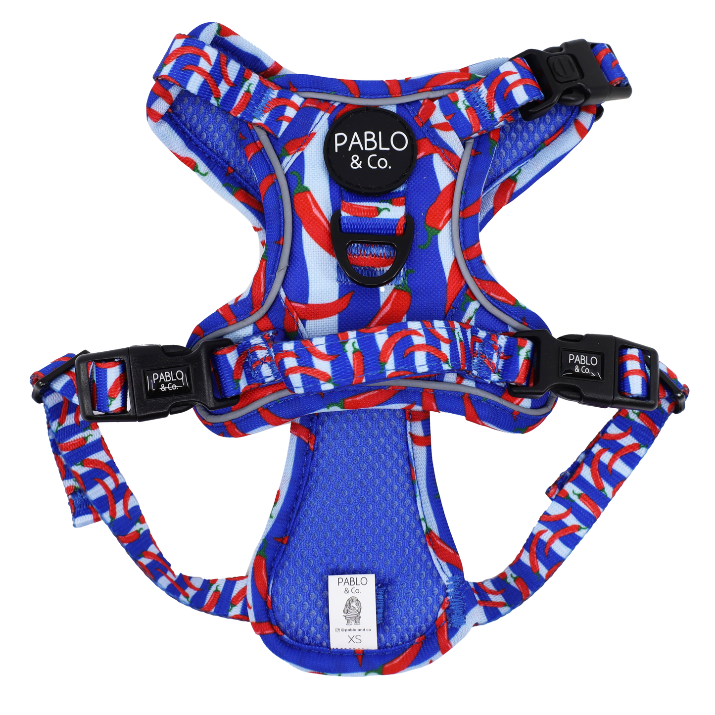 Hot Chillies: No Pull Adventure Harness