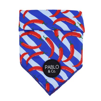 Hot Chillies: Dog Bandana