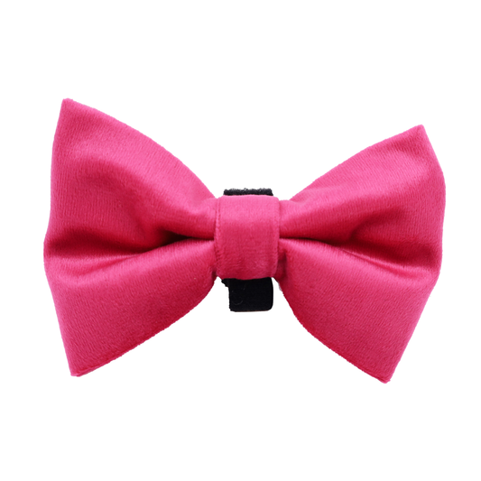 Hot Pink Velvet Bow Tie