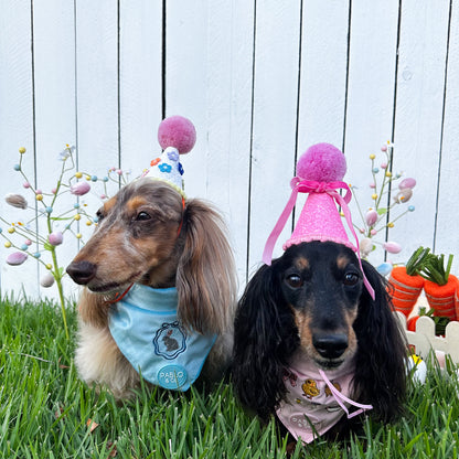 Pablo's Pawty Hat: Pink Bow