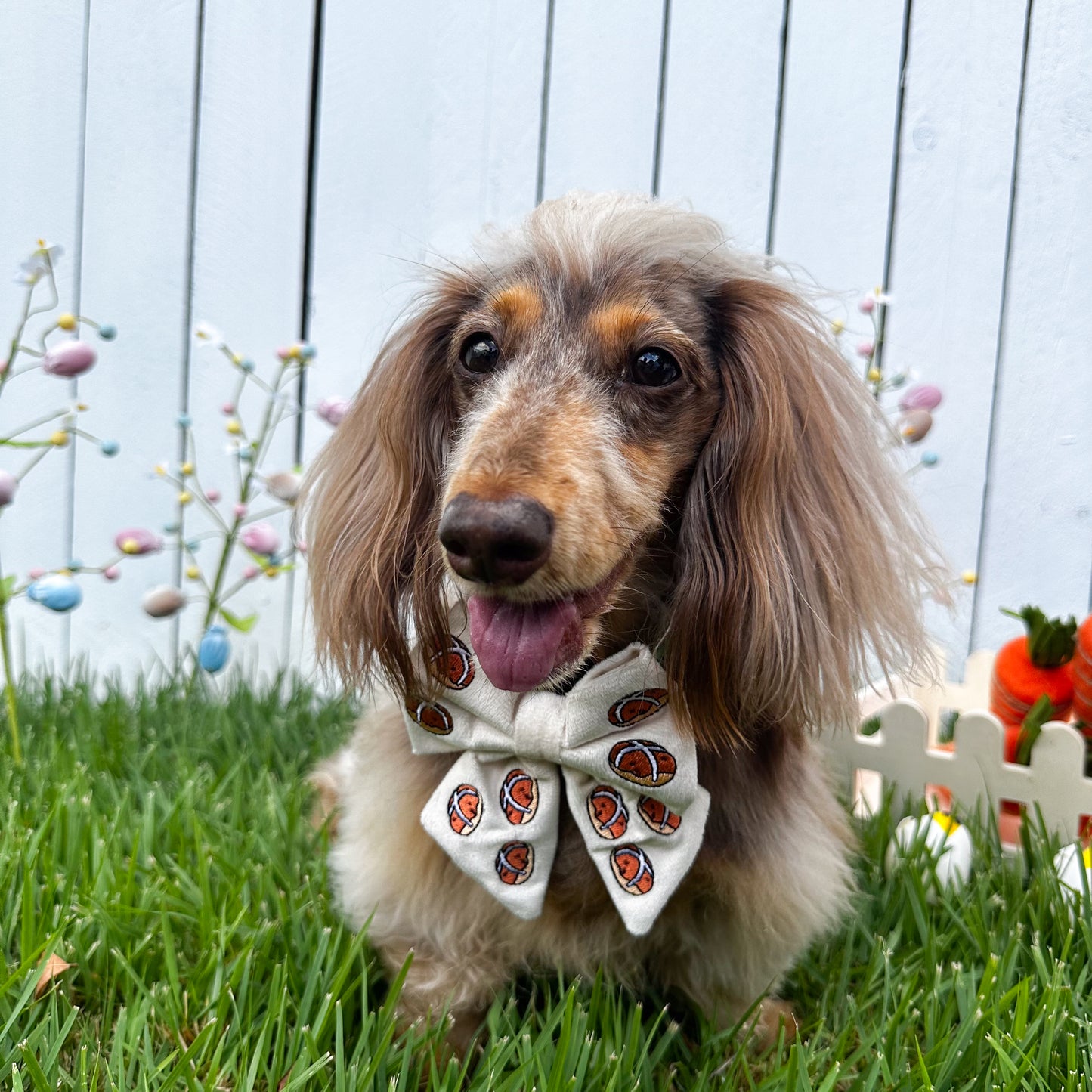 Hot Cross Buns: Velvet Sailor Bow