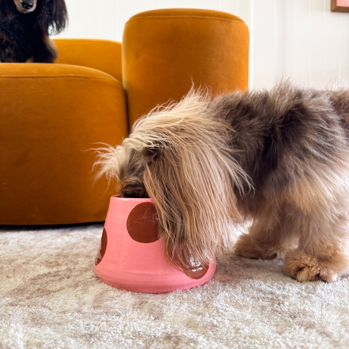 Ceramic Dog Bowl: Pink & Brown Polka Dots