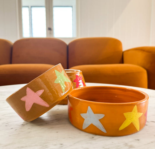 Ceramic Dog Bowl: Mustard Stars