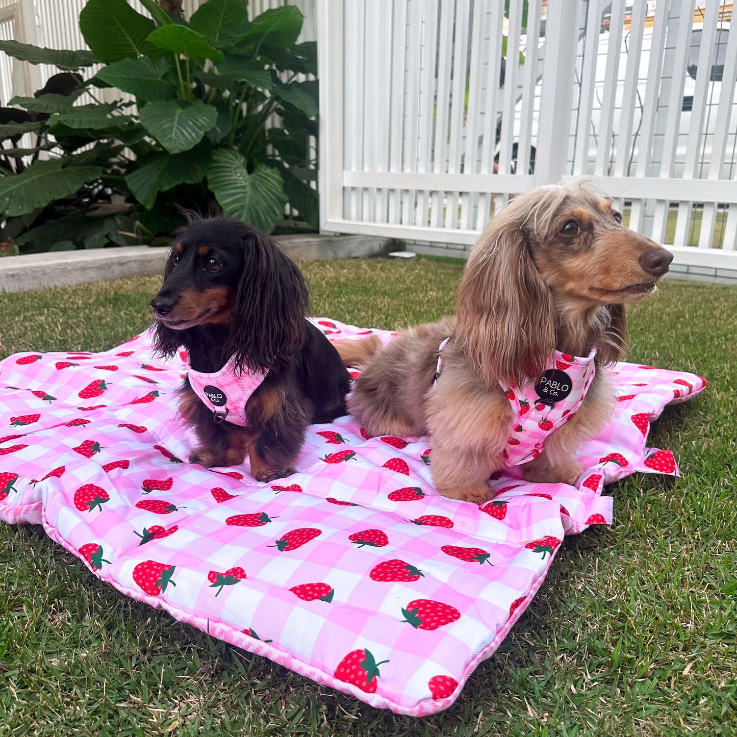 Deluxe Travel Mat: Strawberry Fields / Pink Houndstooth