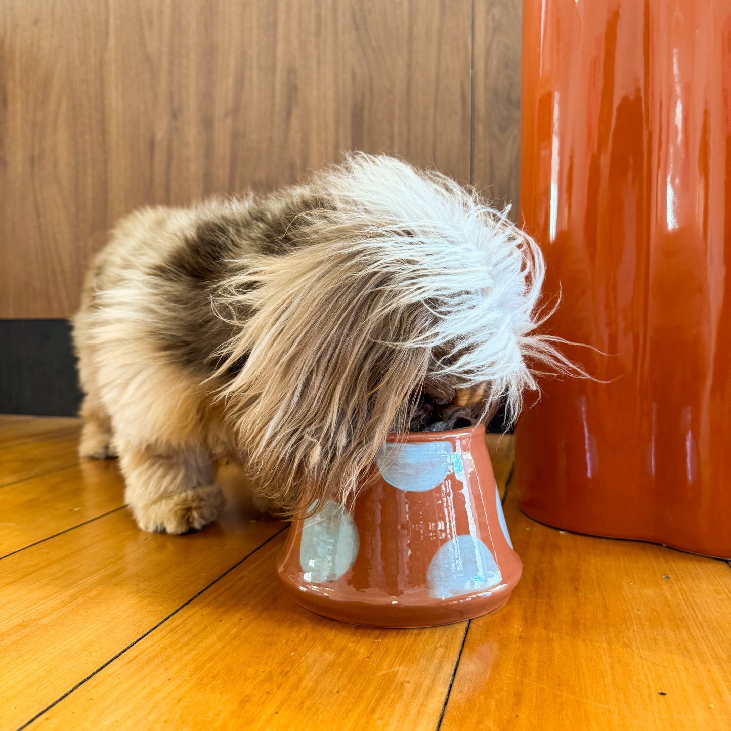 Ceramic Dog Bowl: Cocoa & Turquoise Polka Dots