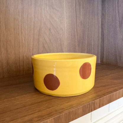 Ceramic Dog Bowl: Butter Yellow & Brown Polka Dots