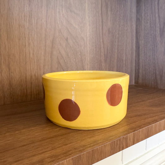 Ceramic Dog Bowl: Butter Yellow & Brown Polka Dots