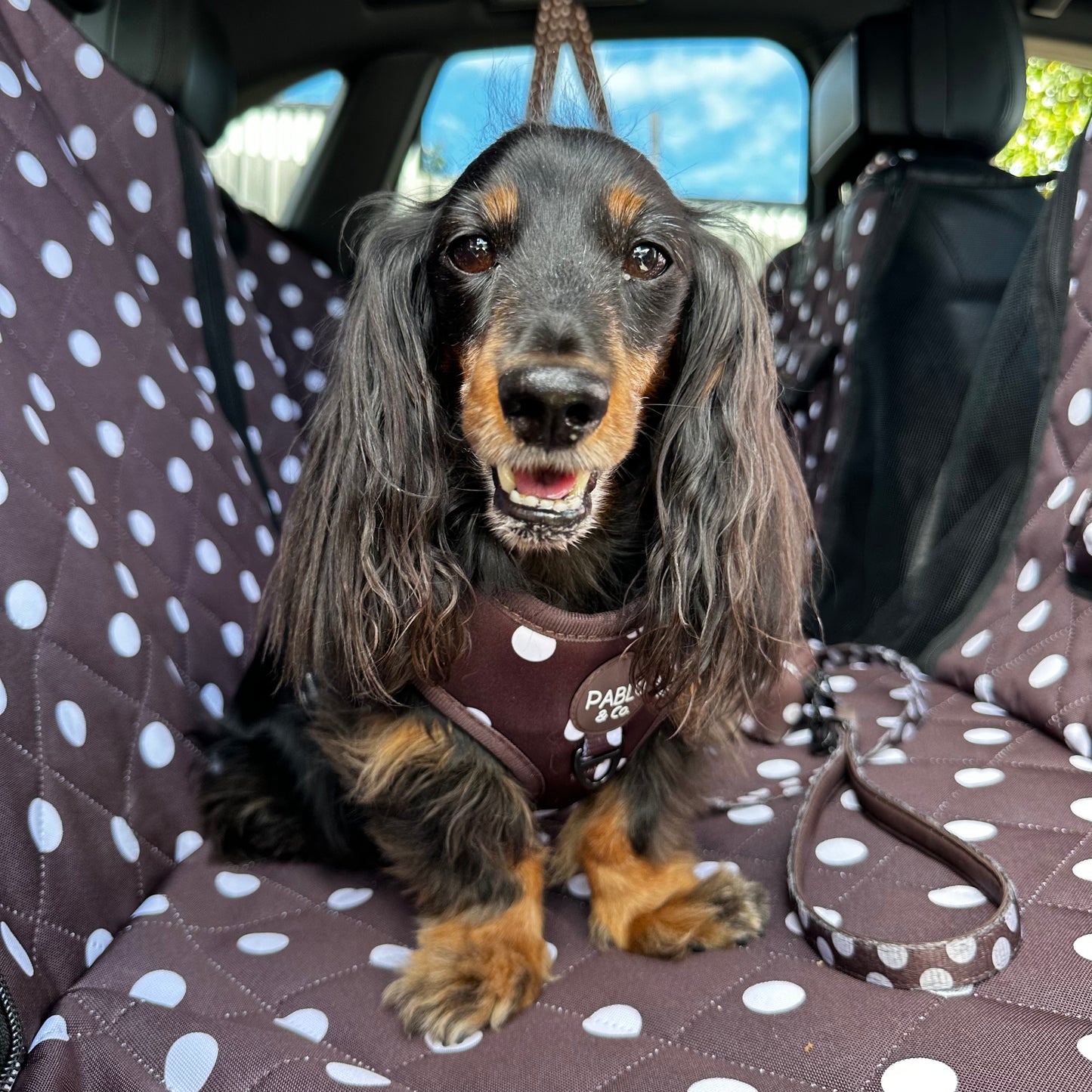 Polka Dots: Deluxe Hard Base Hammock Car Seat Cover