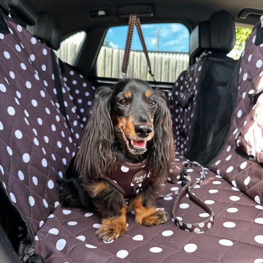 Polka Dots: Deluxe Hard Base Hammock Car Seat Cover