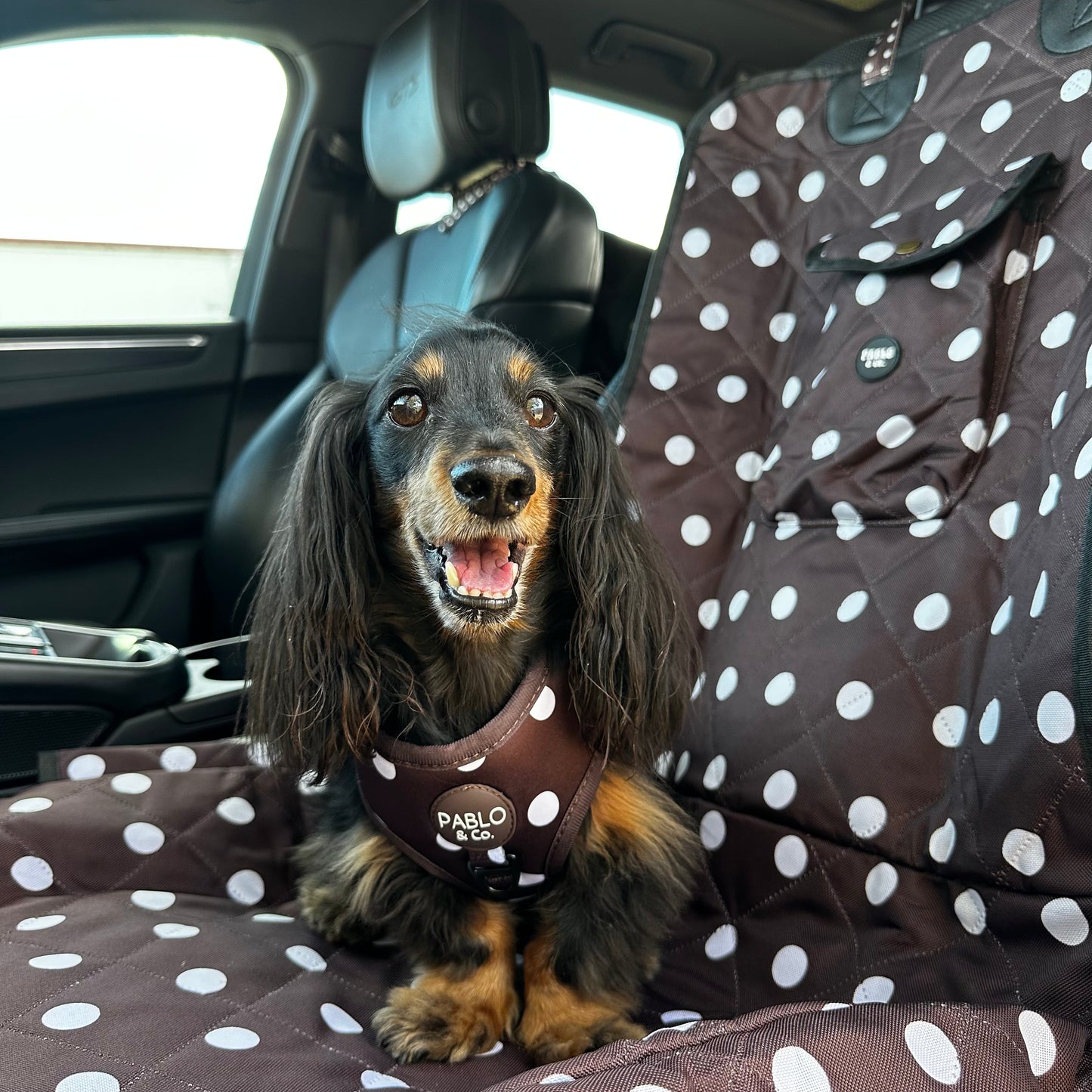 Polka Dots: Deluxe Single Car Seat Cover