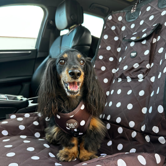 Polka Dots: Deluxe Single Car Seat Cover