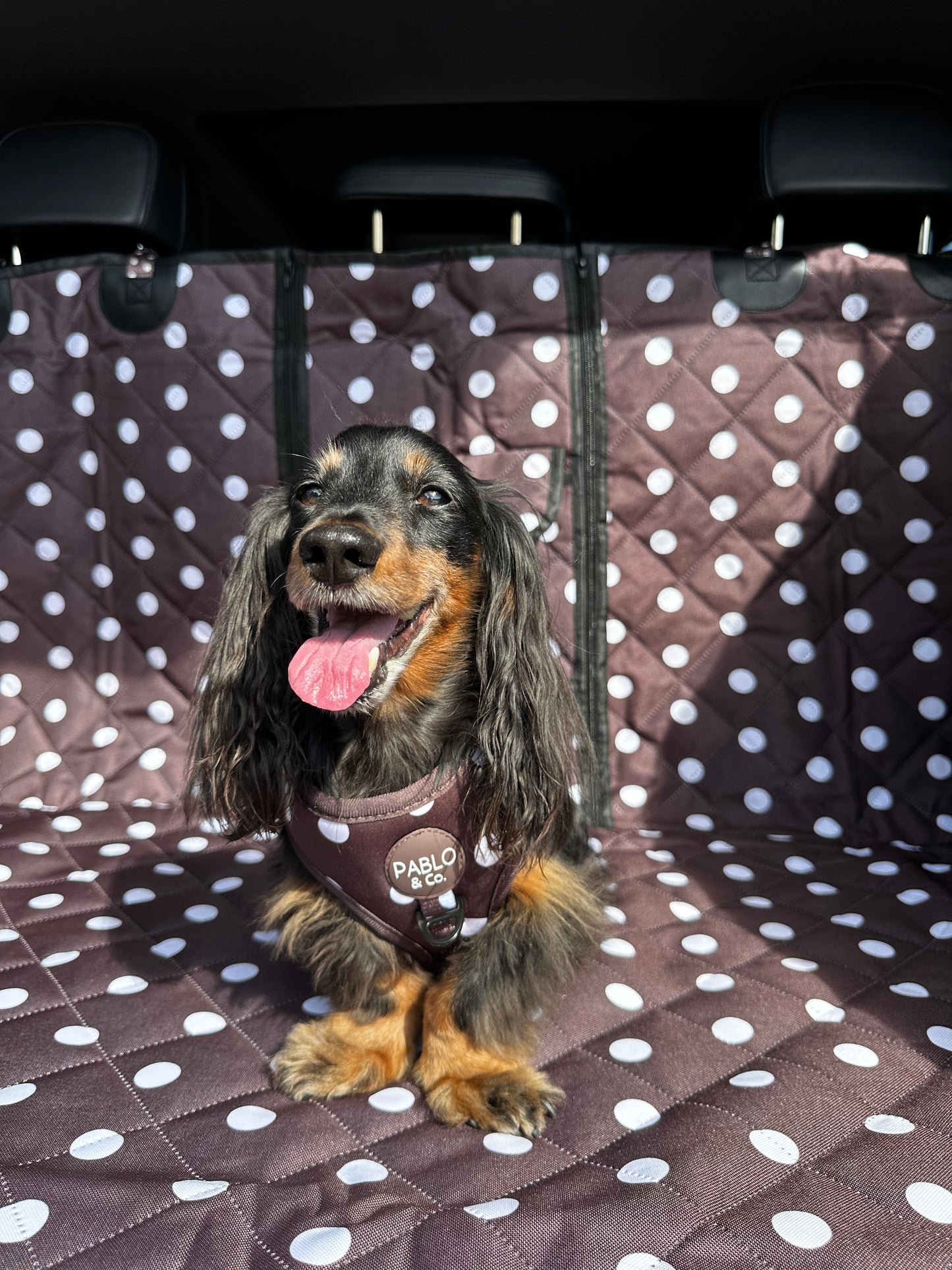 Polka Dots: Deluxe Car Boot Cover