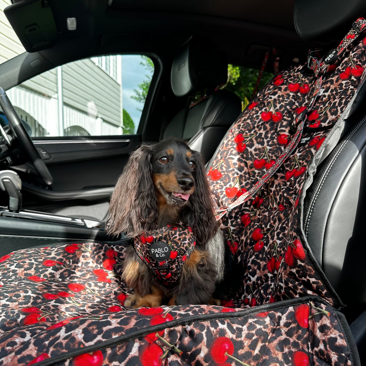 Leopard Cherries: Deluxe Single Car Seat Cover