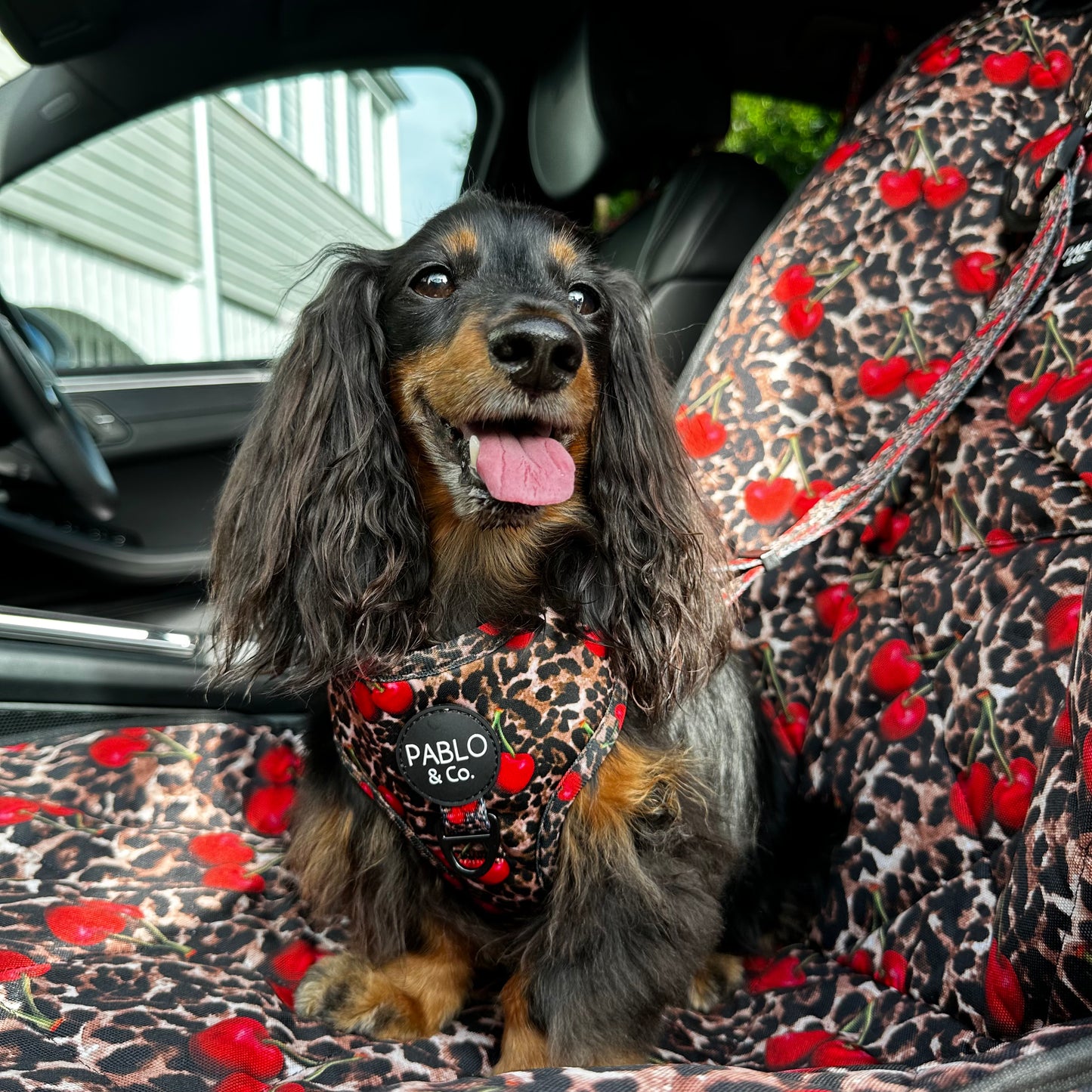 Leopard Cherries: Deluxe Single Car Seat Cover