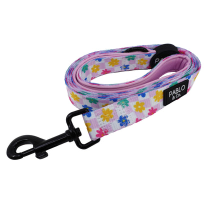 Delightful Daisies: Dog Leash