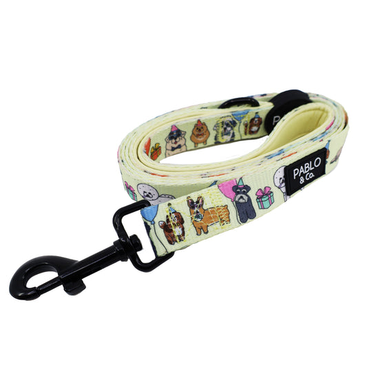 Party Dawgs: Dog Leash