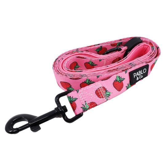 Strawberries: Dog Leash