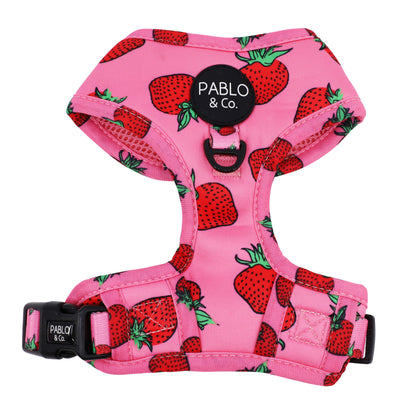 Strawberries: Adjustable Harness