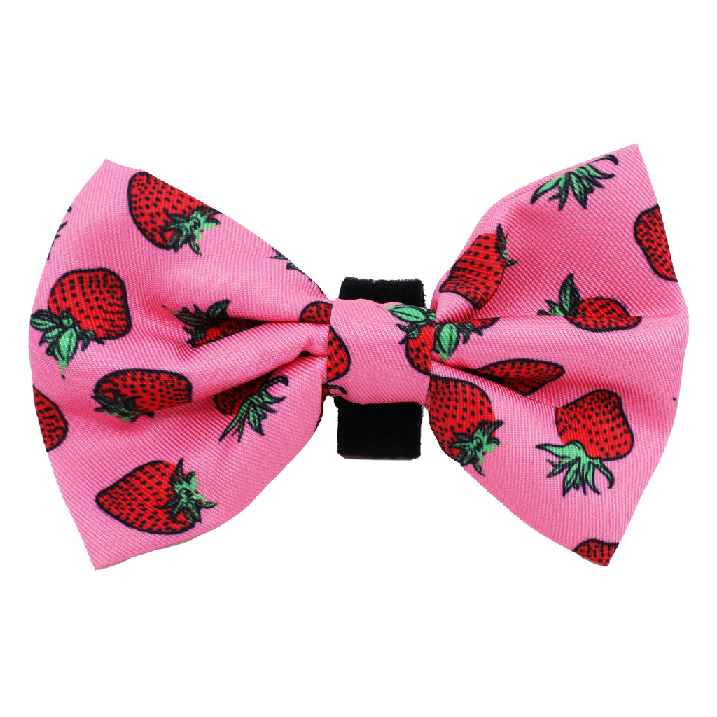 Strawberries: Bow Tie – Pablo & Co. Boutique
