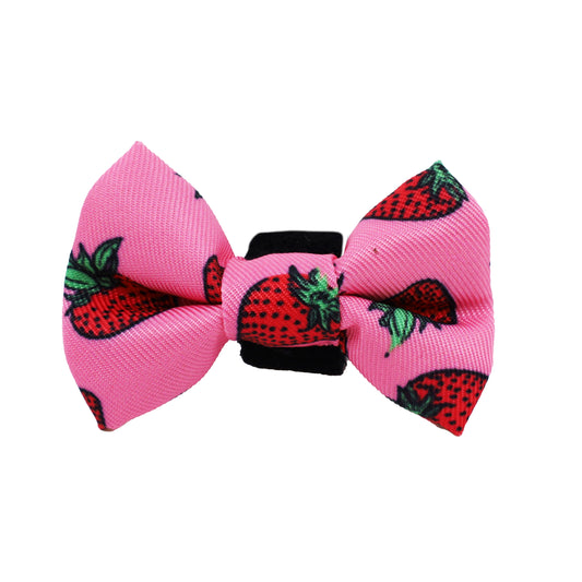 Strawberries: Cat Bow Tie