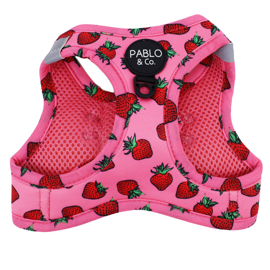 Strawberries: Step In Cat Harness