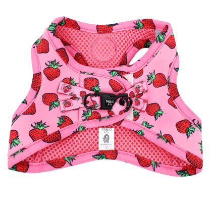 Strawberries: Step In Cat Harness