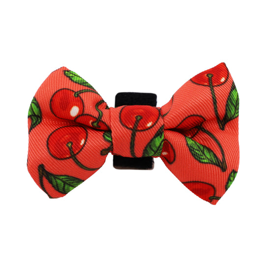 Cherry: Cat Bow Tie