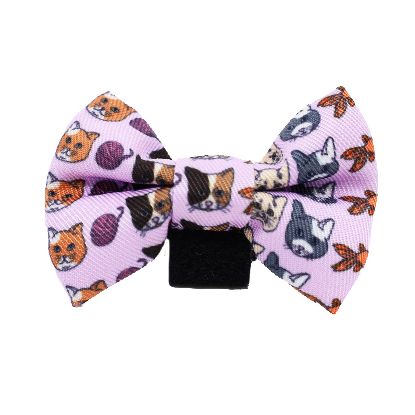 Meow Purple: Cat Bow Tie