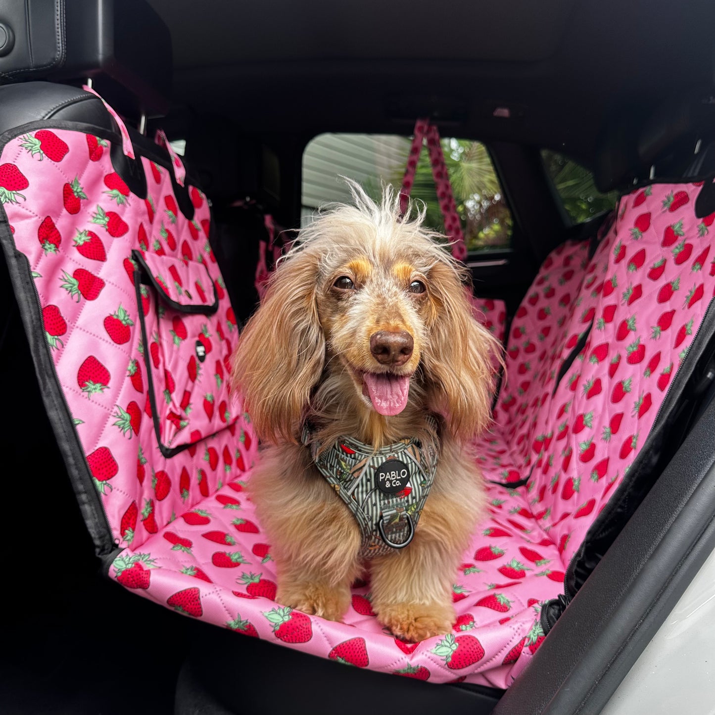 Strawberries: Deluxe Hard Base Hammock Car Seat Cover