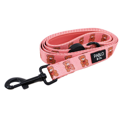 Teddies: Dog Leash