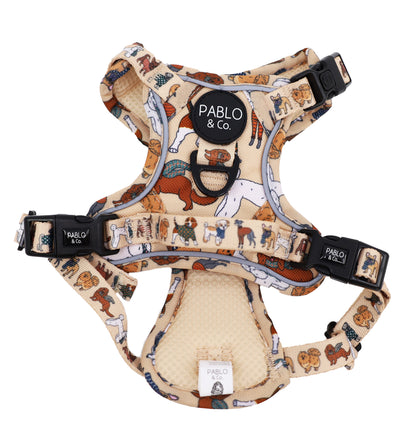 Winter Pooches: No Pull Adventure Harness