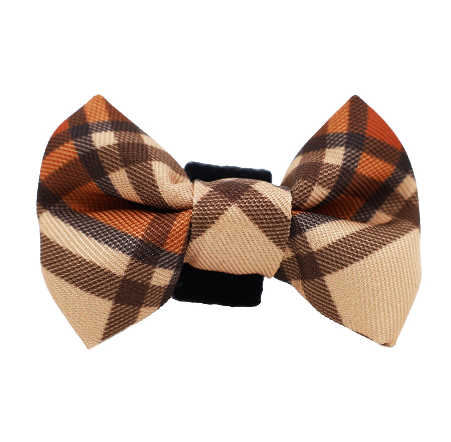 Kensington: Cat Bow Tie