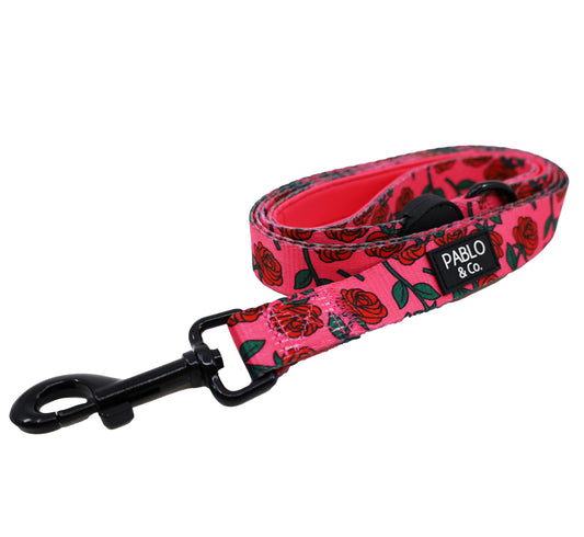 Rosie: Dog Leash