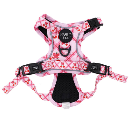 Ma chérie: No Pull Adventure Harness